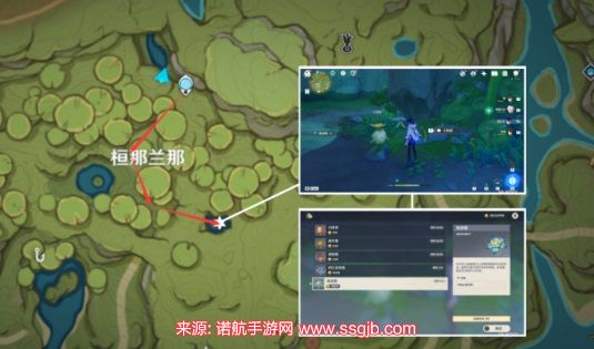 原神草神突破材料采集路线-草神突破材料位置一览表