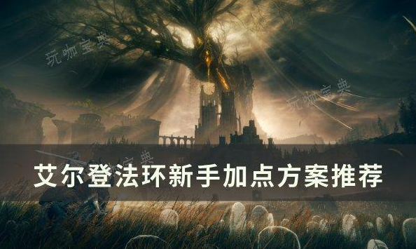 《艾尔登法环》新手怎么加点方案分享